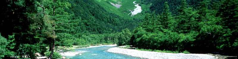 �V���C���f�C�Y���T�C�g